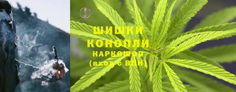 Бошки Шишки OG Kush  купить наркоту  Электроугли 